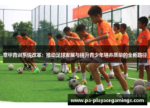 意甲青训系统改革：推动足球发展与提升青少年培养质量的全新路径