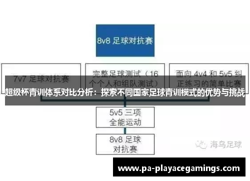 超级杯青训体系对比分析：探索不同国家足球青训模式的优势与挑战